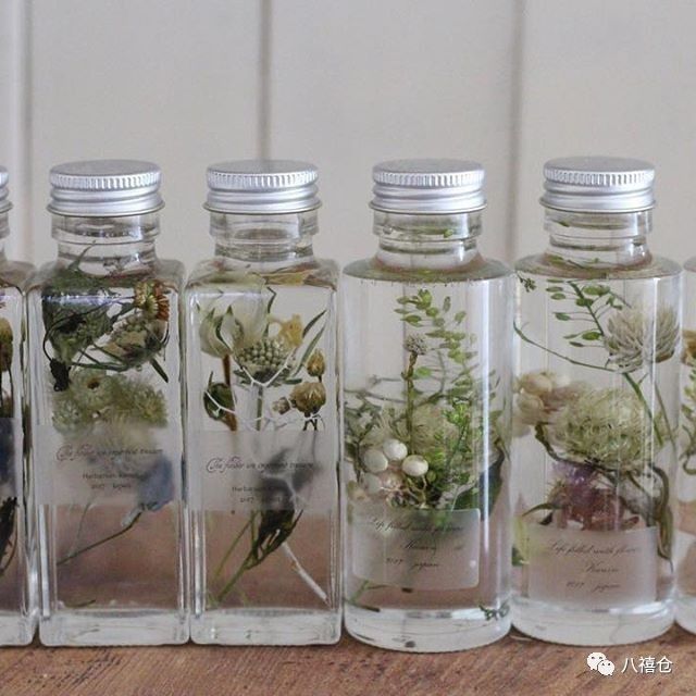 干花和假花有什么区别呀,干花品种及图片大全