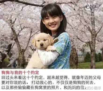 关于忠犬的9部电影推荐，看看有没有你家“那位”的影子