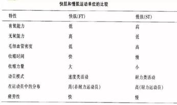 小腿肚子粗怎样通过锻炼改善,小腿粗怎么改善最好视频