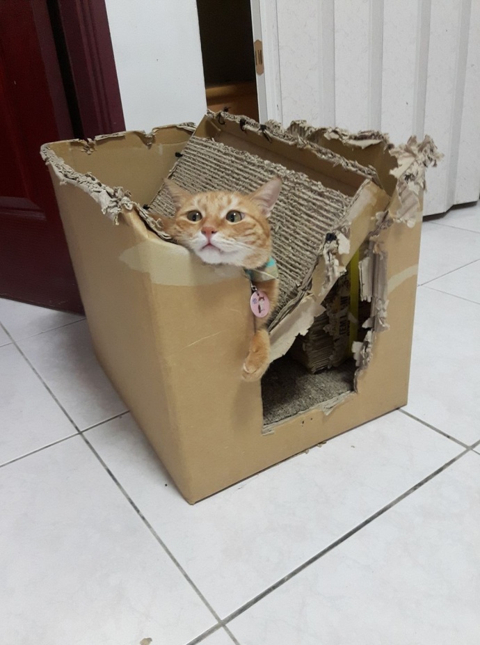 这个村一条秋裤卖全国闯出振兴路,厉害这个村凭一条虾走上了致富路