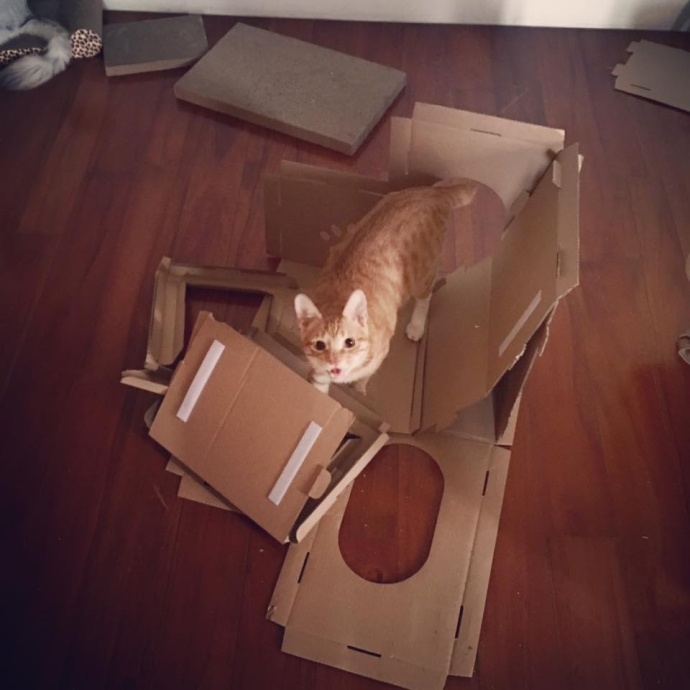 这个村一条秋裤卖全国闯出振兴路,厉害这个村凭一条虾走上了致富路