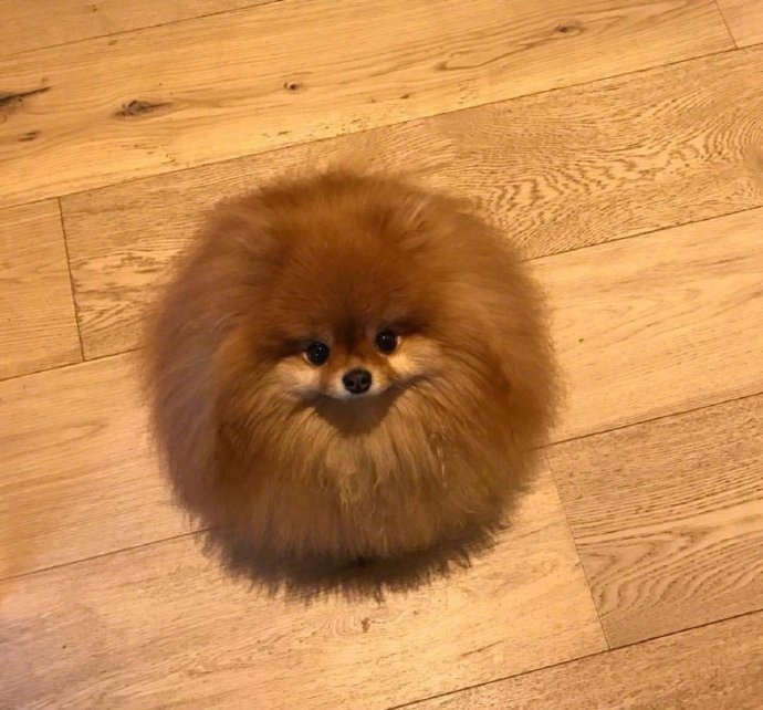 这个村一条秋裤卖全国闯出振兴路,厉害这个村凭一条虾走上了致富路