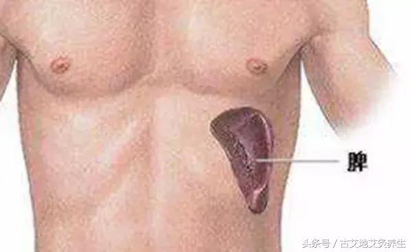 肝郁化火脾虚湿热下注怎么调理,下半身湿热是阳虚还是阴虚