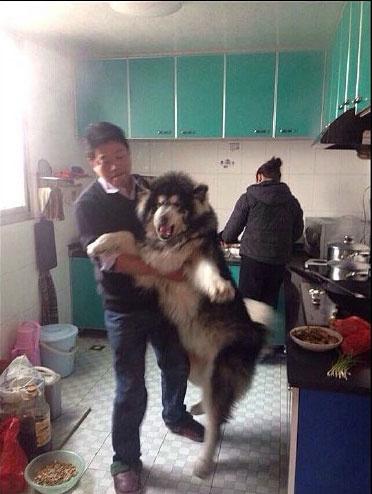 搞笑幽默段子我太难了,搞笑段子我太草率了