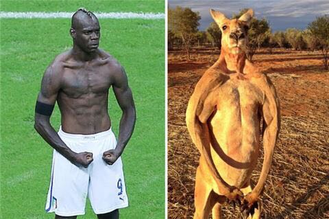 涓栫晫瓒崇悆鏄庢槦鍥剧墖,涓栫晫瓒崇悆鏄庢槦鑻辨枃浠嬬粛