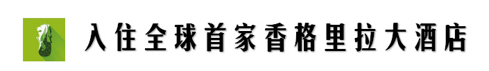 新加坡安全的酒店,新加坡安保有多强