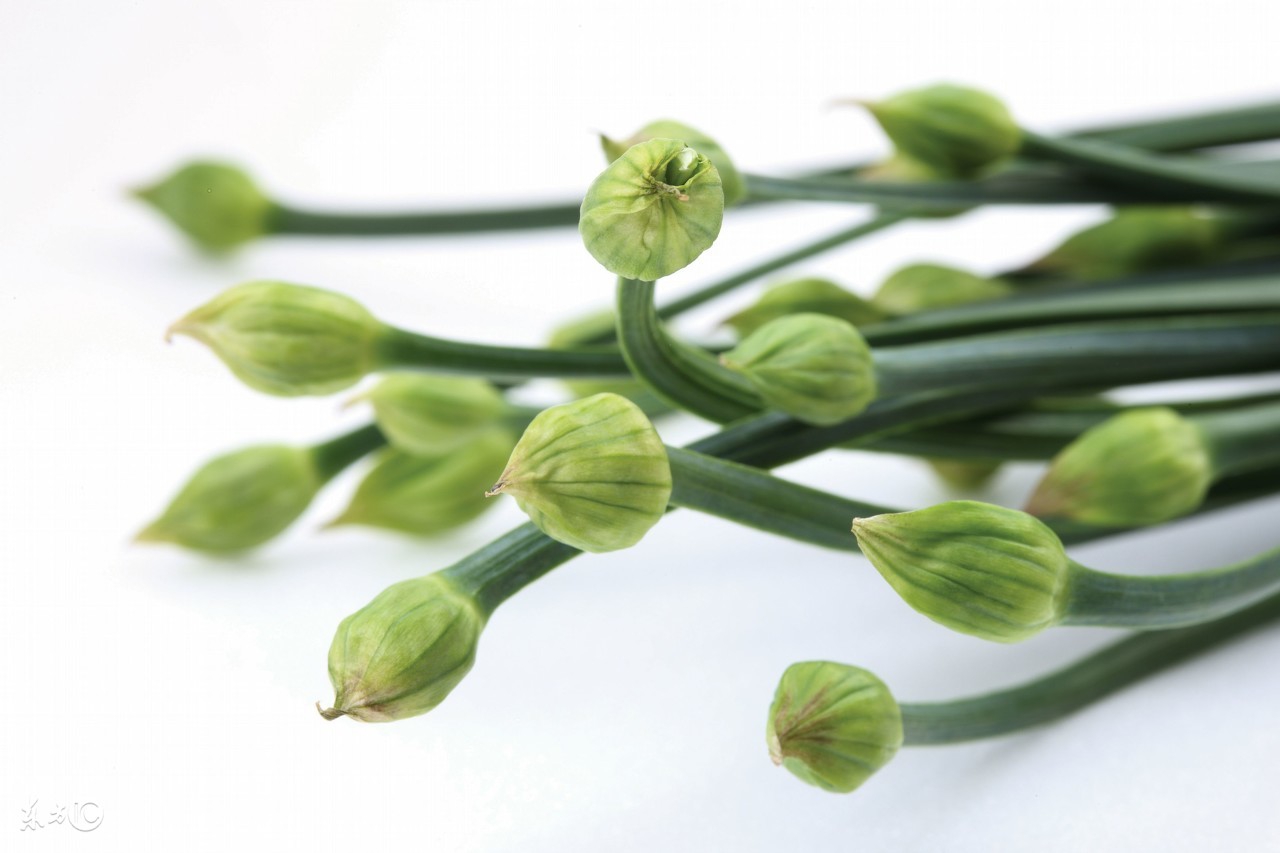 蒜苔是回奶的菜吗,吃了炒蒜苔后回奶了怎么办