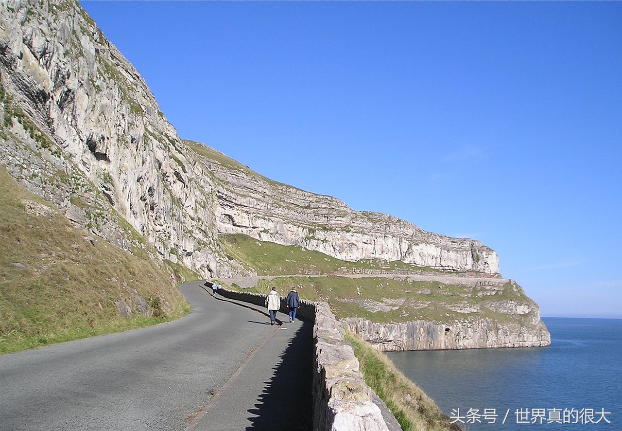 爱丽丝漫游奇境印象最深的故事,爱丽丝漫游奇境去过的七个地方