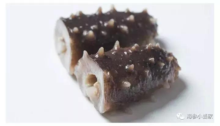 选海参的正确方法视频,如何选好吃的海参