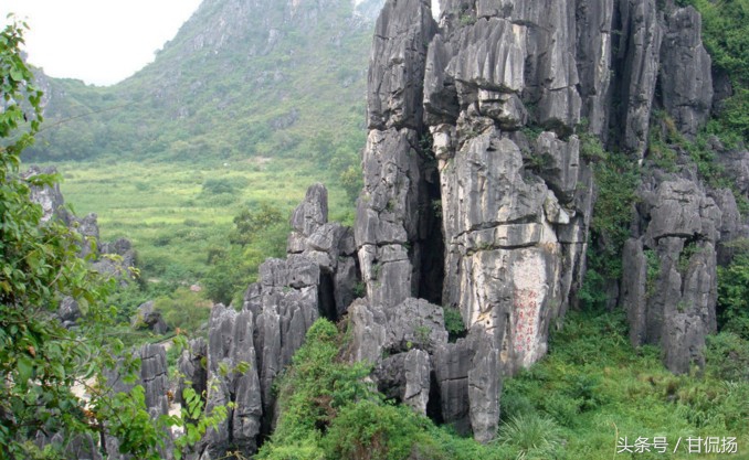 去*江阳**，你怎能不来这里……