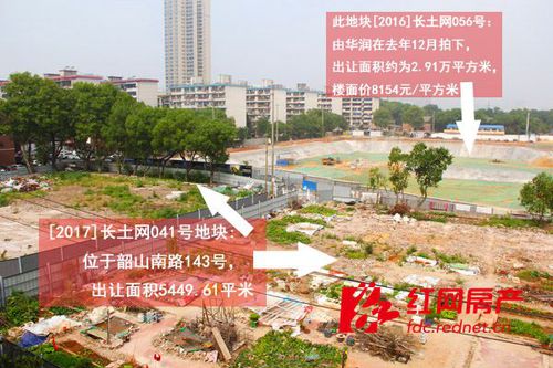 朴槿惠事件及涉案人员判决结果,杨秀珠一审宣判结果