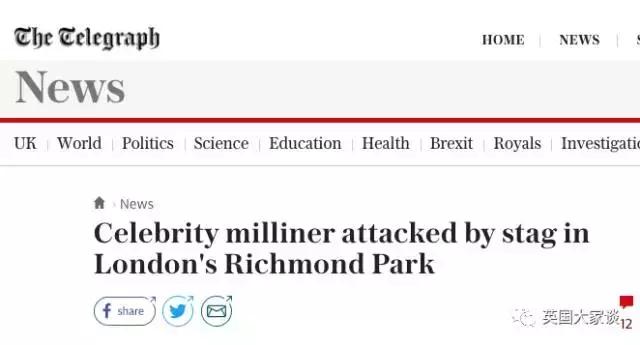 华人伦敦遭鹿攻击酿惨剧，事发地里士满公园警告：务必离鹿50米！