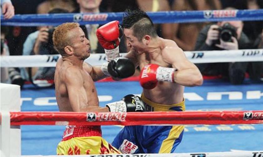 ibf拳击2017,ibf拳击职业赛