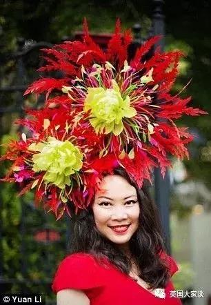 华人伦敦遭鹿攻击酿惨剧，事发地里士满公园警告：务必离鹿50米！