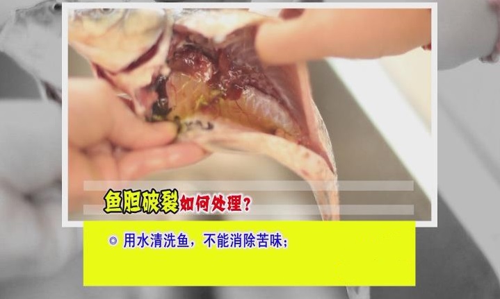 怎样破鱼苦胆不会破,鱼胆破了怎么做鱼不苦