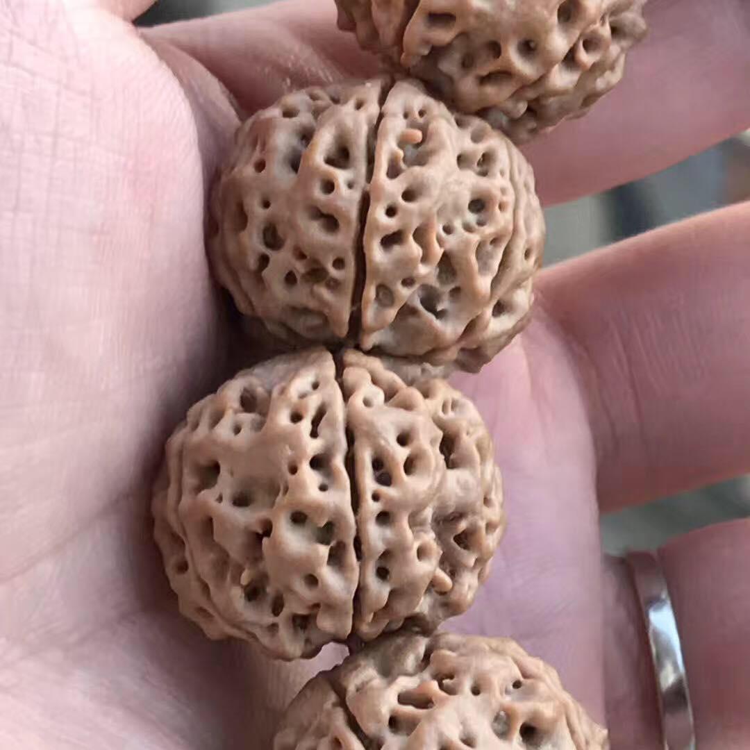 尼泊尔大金刚菩提手串怎么看好坏,大金刚菩提五瓣尼泊尔籽高油高密