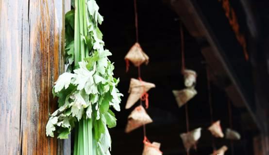 艾叶是女人的养生草艾叶的那些功效，应该早点知道