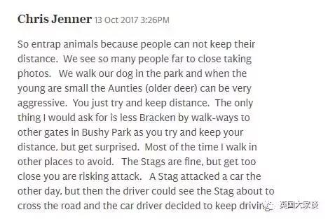 华人伦敦遭鹿攻击酿惨剧，事发地里士满公园警告：务必离鹿50米！