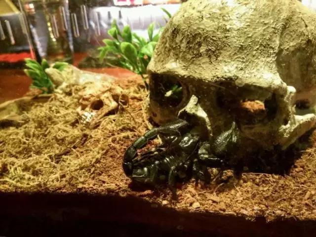 贵阳喷水池鸡尾酒吧推荐,贵阳鸡尾酒吧攻略