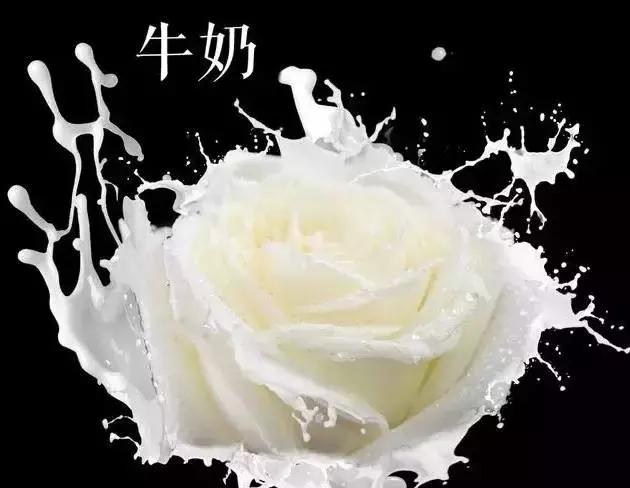 琥珀蜜蜡的种类介绍,哪里的琥珀蜜蜡最好