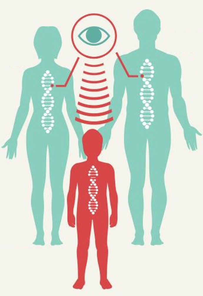 fda批准的抗痴呆药物,fda批准糖尿病细胞疗法