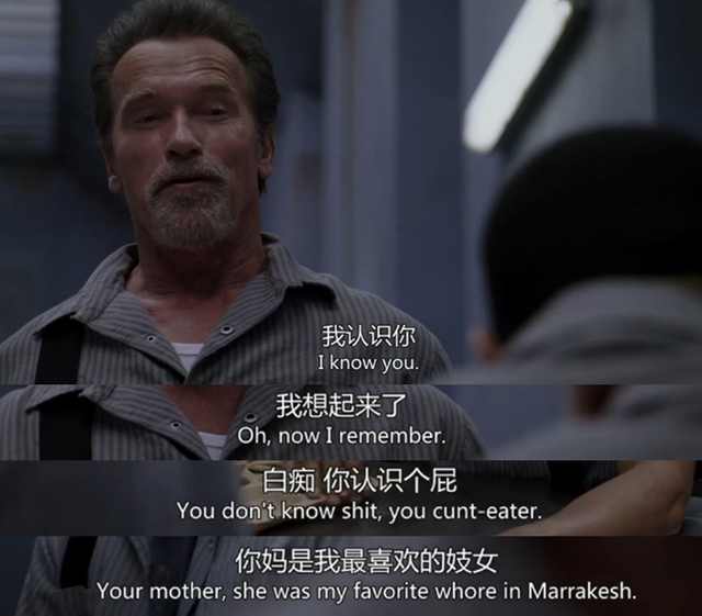 史泰龙和施瓦辛格合作的老电影,史泰龙和施瓦辛格演的银幕硬汉