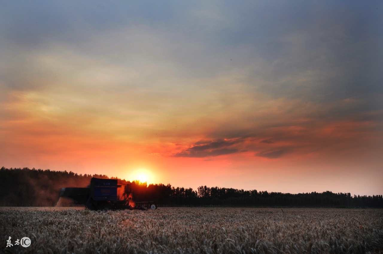 农民看天气谚语顺口溜搞笑,气象谚语您看准不准