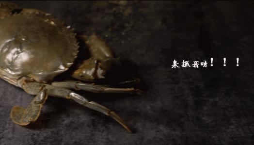 泰国曼谷小吃街攻略,泰国曼谷最便宜小吃