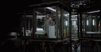 史泰龙和施瓦辛格合作的老电影,史泰龙和施瓦辛格演的银幕硬汉