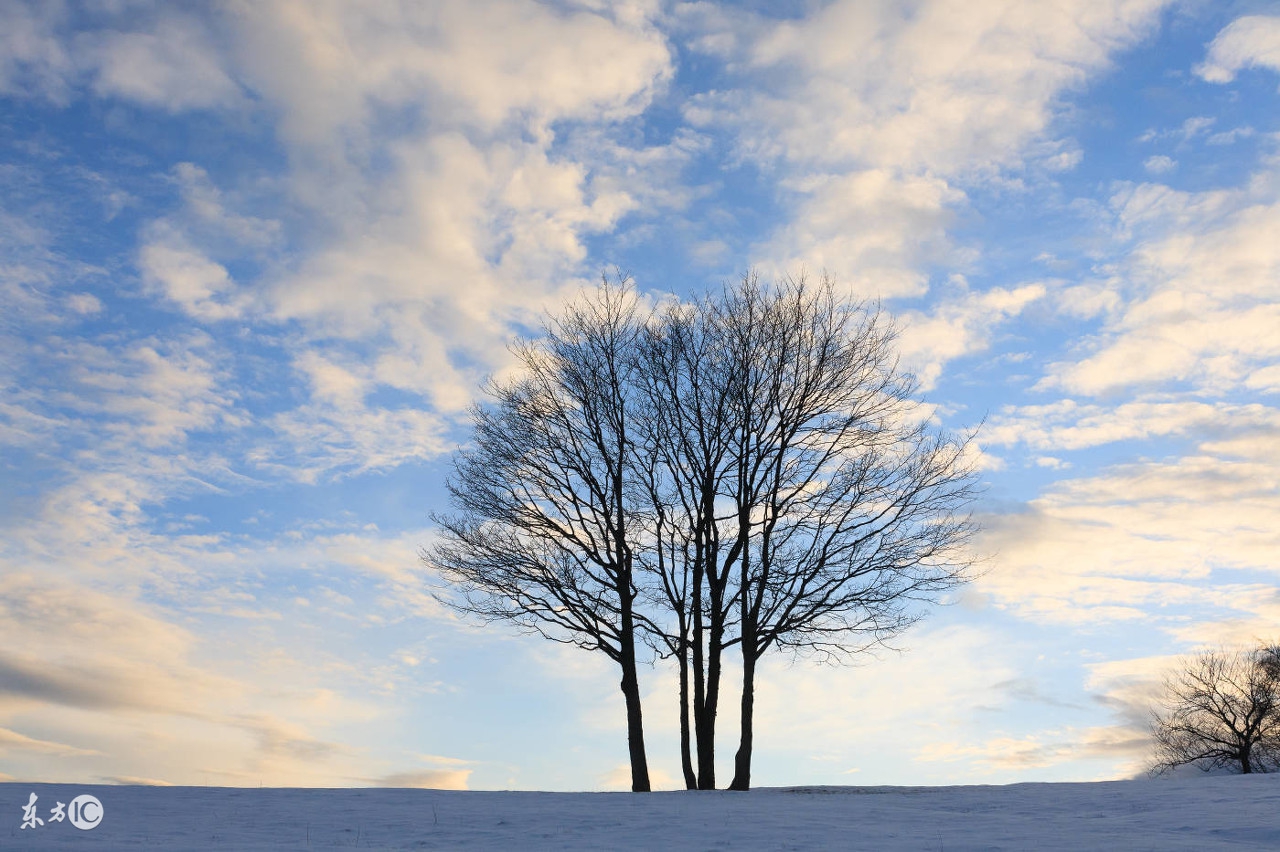 20个励志的句子,20个耐人寻味的哲理短句