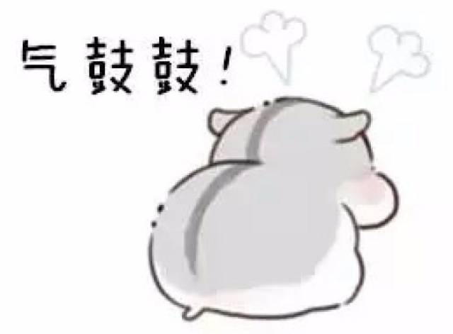 仓鼠前腿长了个大包怎么回事,仓鼠长了一个红色的疙瘩行动缓慢