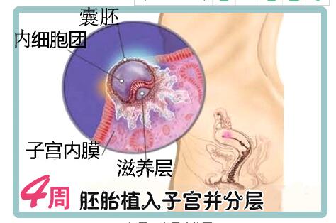 孕妈必须知道的关注事项,孕妈必备详细清单