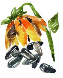 秋冬季节让你的皮肤更保湿,秋冬皮肤变得干燥