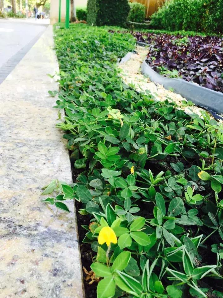 陈说天下｜吃货也搞不明白，这些食物不能“穿越”！