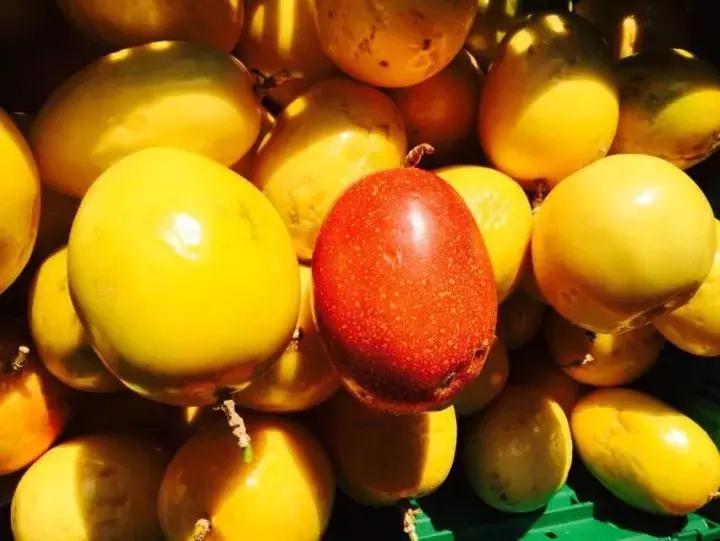 陈说天下｜吃货也搞不明白，这些食物不能“穿越”！