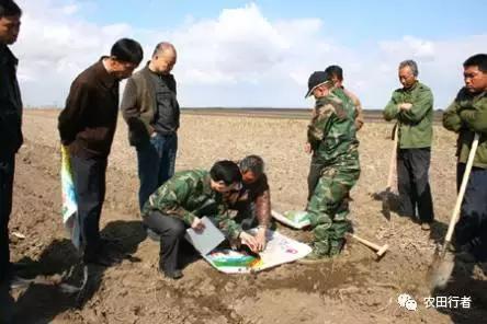 土壤酸碱度偏高有什么危害,土壤偏碱性对农作物的危害