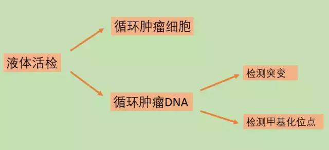 重视肝癌早诊早治提高肝癌生存率,肝癌一发现即是晚期早预防早治疗