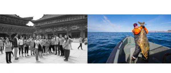 旅游项目创业商业模式,创业旅游公司经营模式