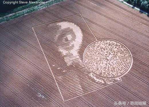 麦田怪圈为什么没有人造,麦田怪圈是外星人制造还是人造
