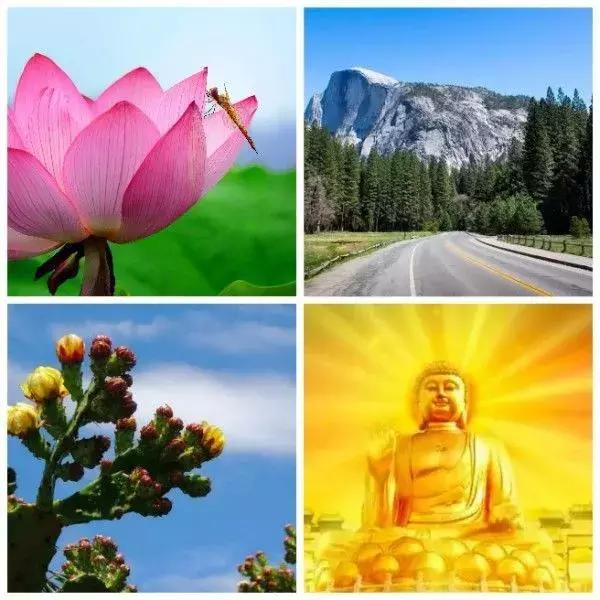 微信头像真诚,换一个让人反感的微信头像