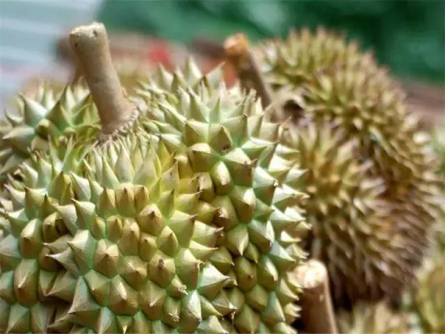 吉隆坡浪漫地方,独特魅力吉隆坡