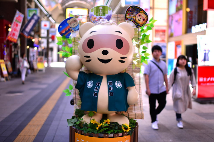 游日本北海道攻略,日本深度游北海道