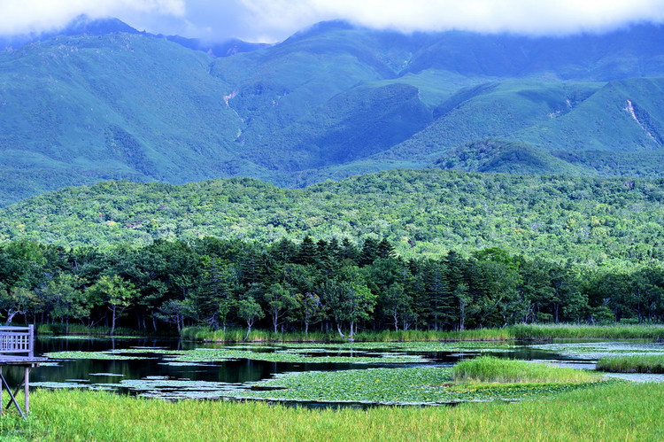 游日本北海道攻略,日本深度游北海道
