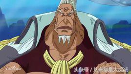 海贼王有多少人出场,海贼王一共出现了多少个人物