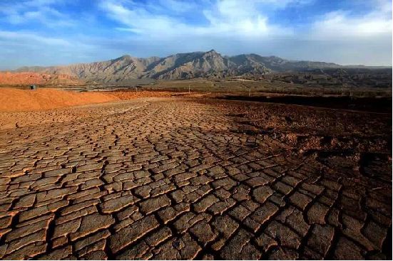 土壤酸碱度偏高有什么危害,土壤偏碱性对农作物的危害