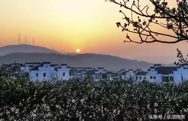 在南京的房价,南京最低房价小区