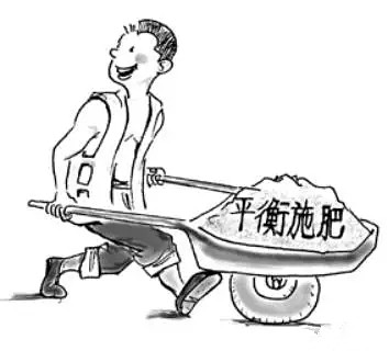 土壤酸碱度偏高有什么危害,土壤偏碱性对农作物的危害