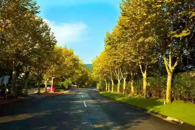 广州这个美丽城市,广州这个不输云南的绝美古镇