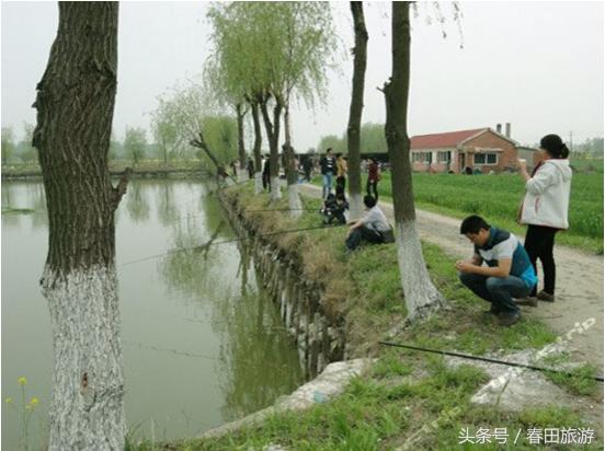 金牛湖艳阳农庄农家乐,南京金牛湖艳阳农庄