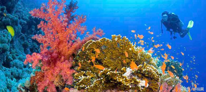 马尔代夫和巴厘岛哪个好玩些,探寻马尔代夫蜜月岛的绝美景点